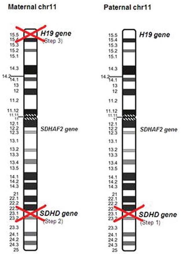 FIGURE 2