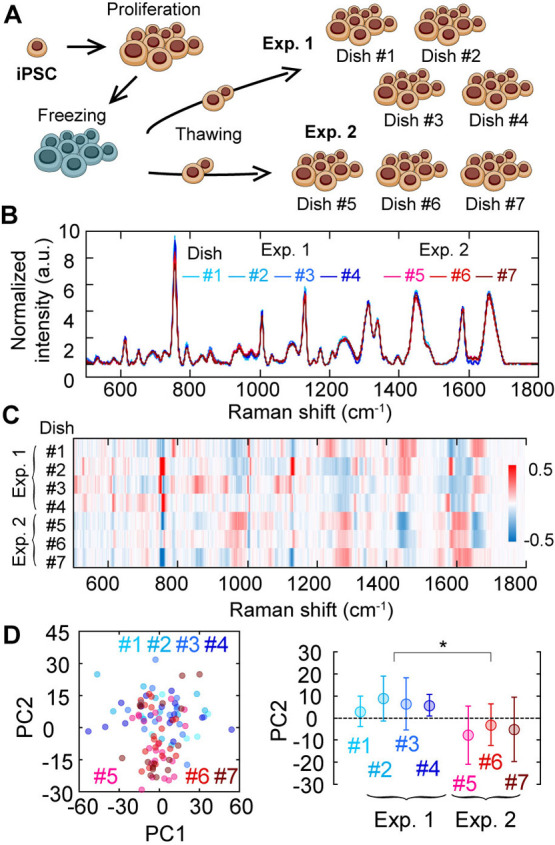 Figure 2 