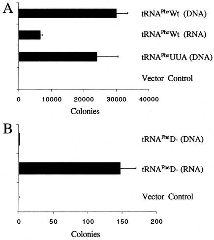 FIG. 5.