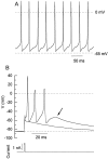 Fig. 8.