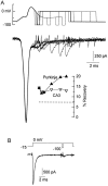 Fig. 10.