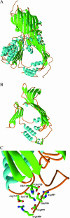 FIGURE 7