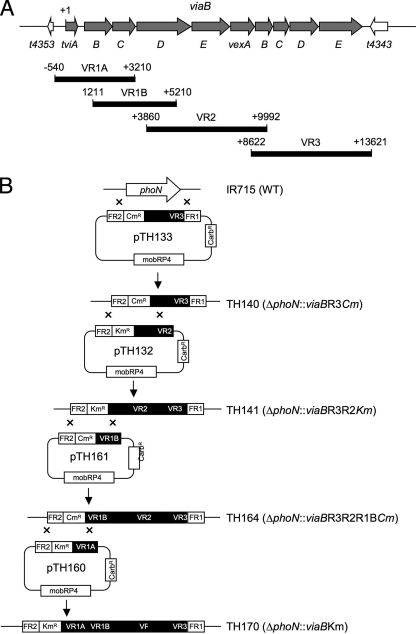 FIG. 2.