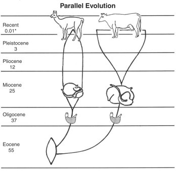 Fig 46-1