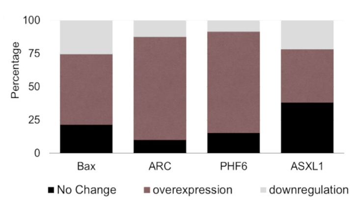 Figure 5 - 