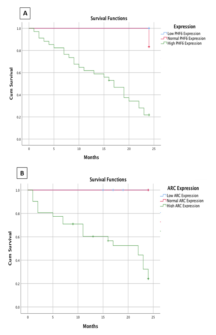 Figure 6 - 