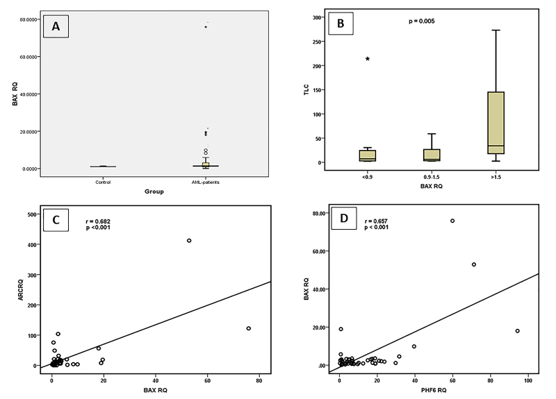 Figure 4 - 