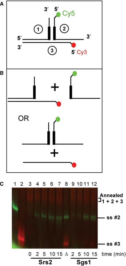 Figure 6.