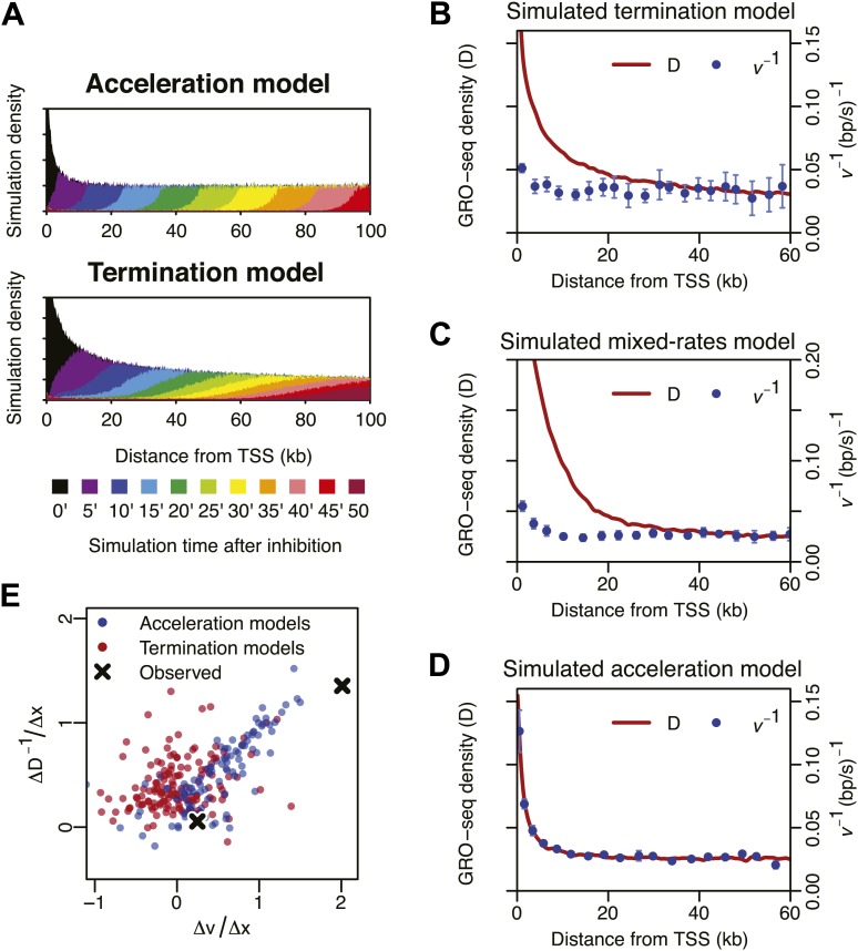 Figure 4—figure supplement 1.