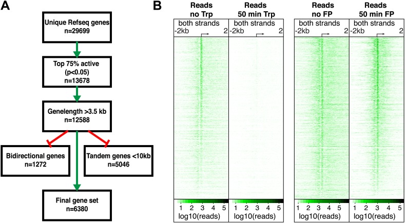 Figure 2—figure supplement 1.