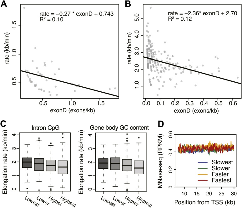 Figure 5—figure supplement 1.