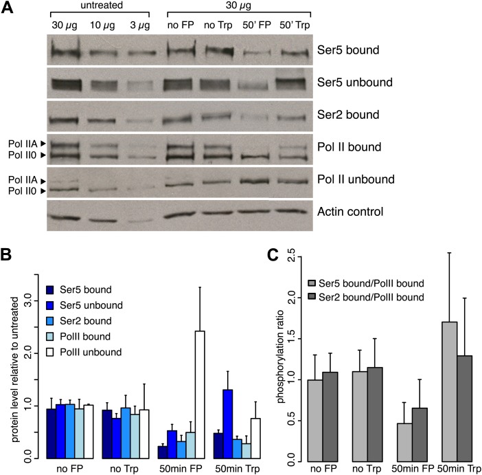 Figure 1—figure supplement 1.