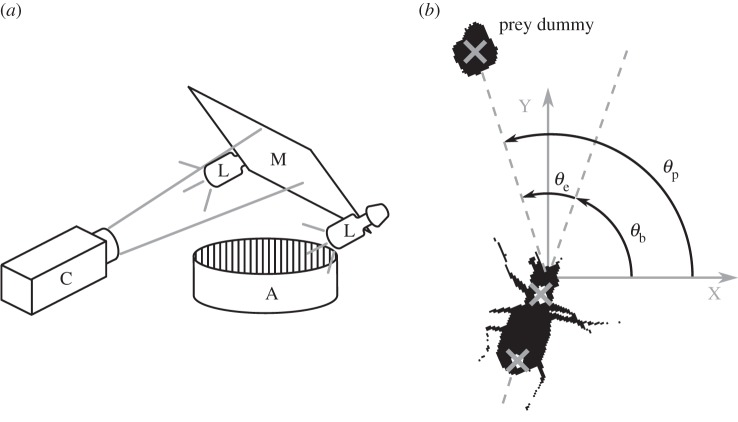 Figure 2.