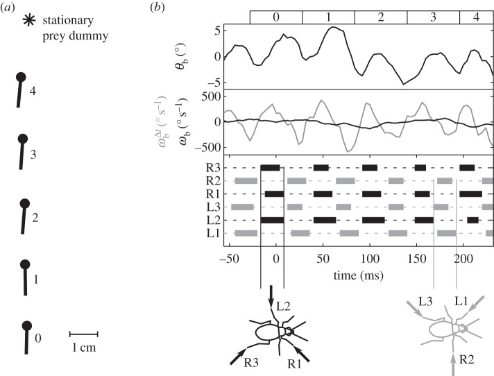 Figure 3.