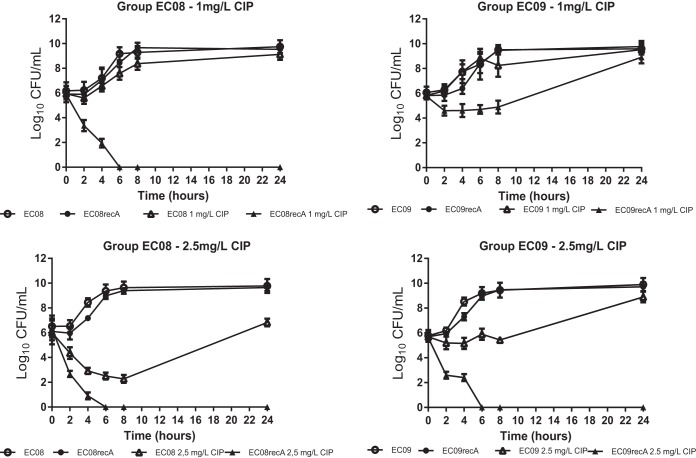 FIG 2 