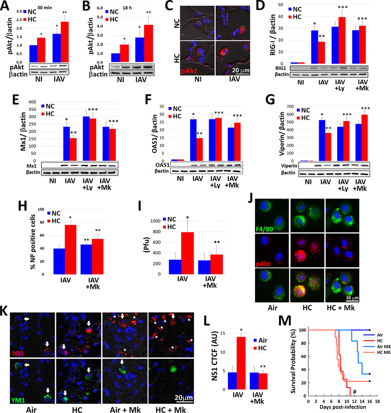 Fig. 4: