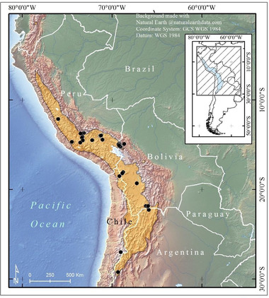 FIGURE 3