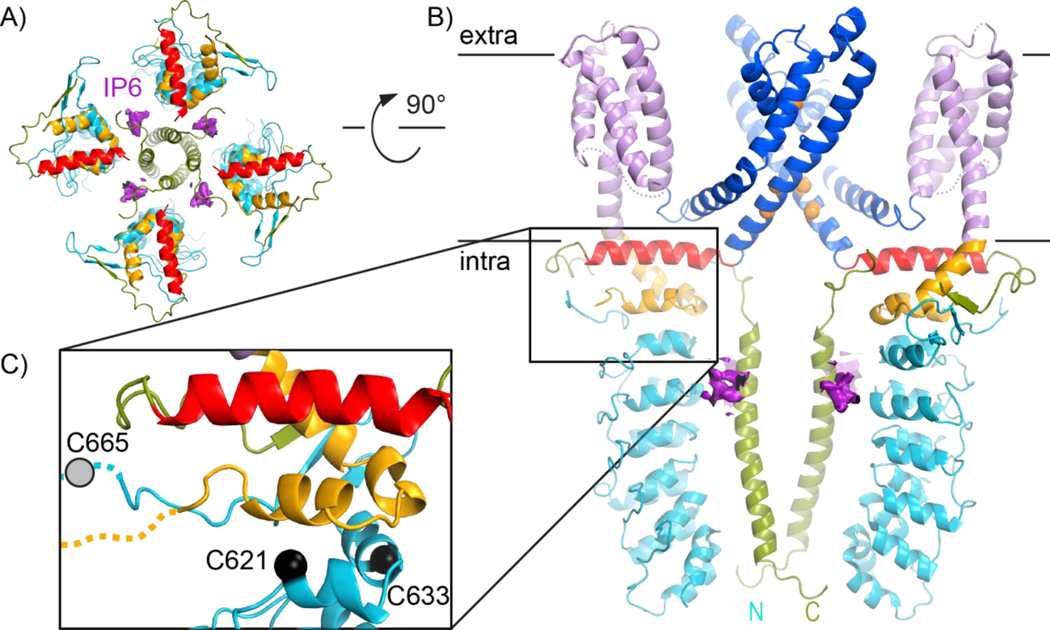 Figure 4