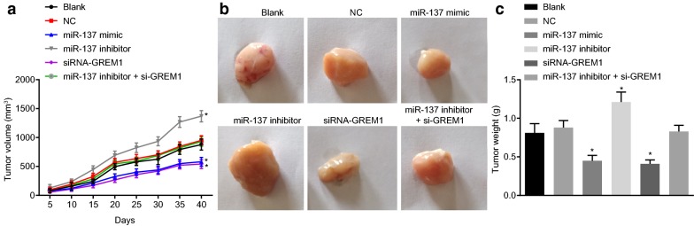 Fig. 10