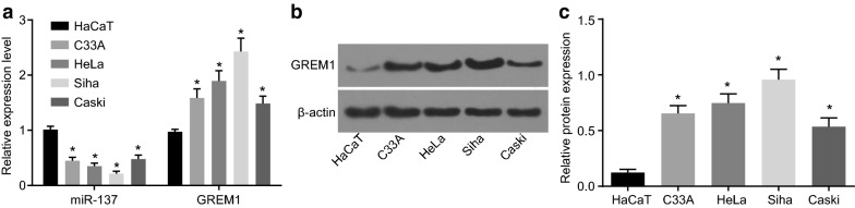 Fig. 5