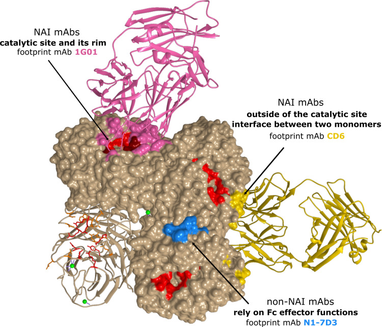 Figure 4