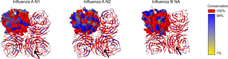 Figure 3