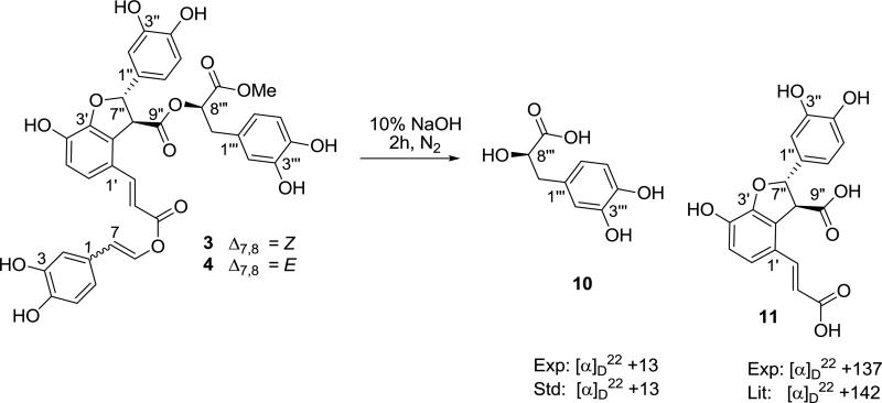 Fig.3