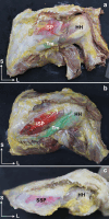 Fig. 2