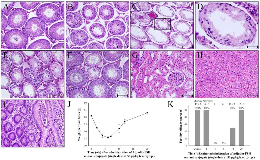 FIG. 11