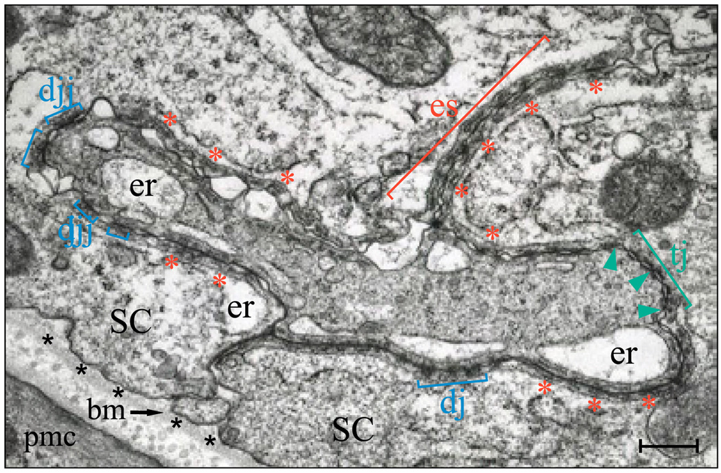 FIG. 3