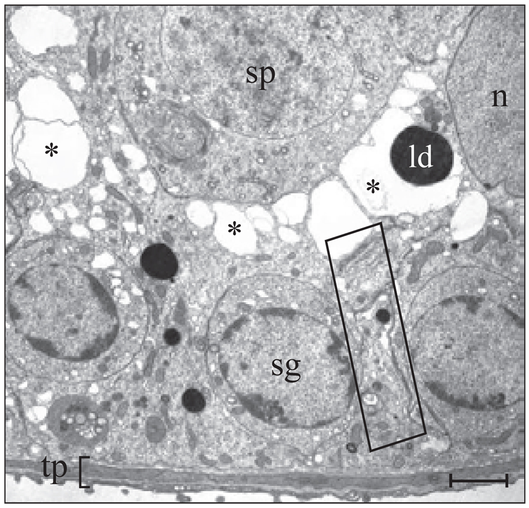 FIG. 9