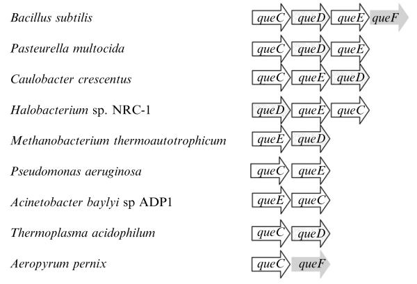 Figure 7.2