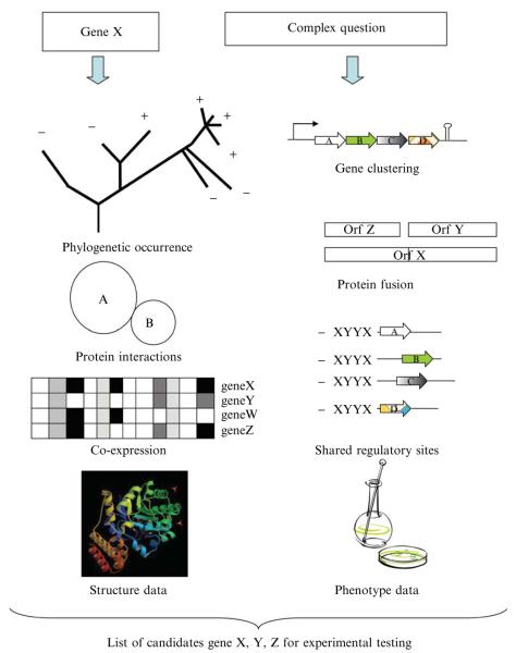 Figure 7.1