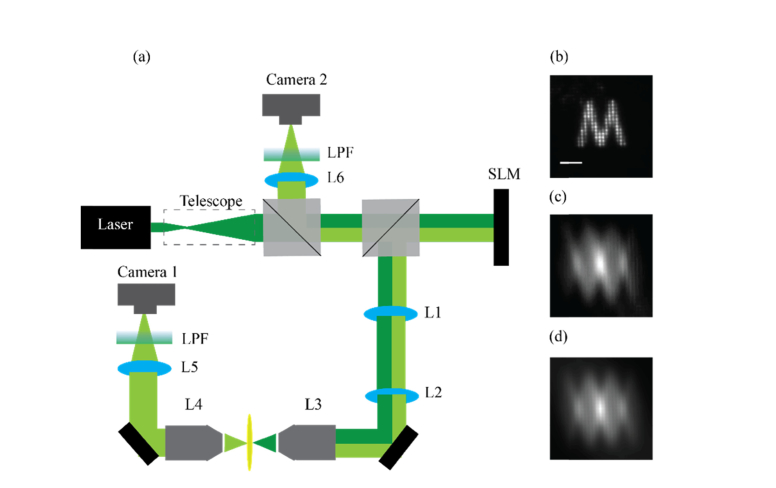 Fig. 2