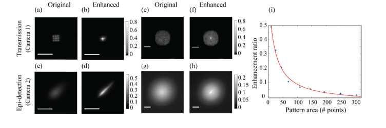 Fig. 6