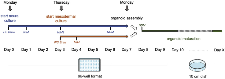 Figure 1