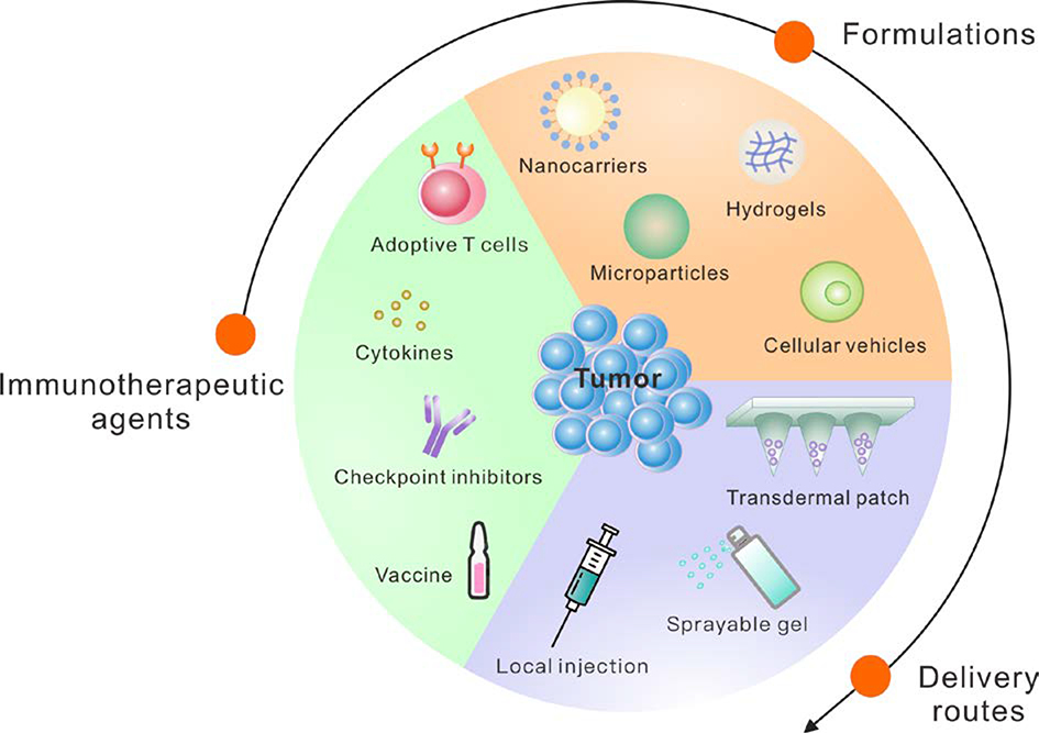 Figure 1: