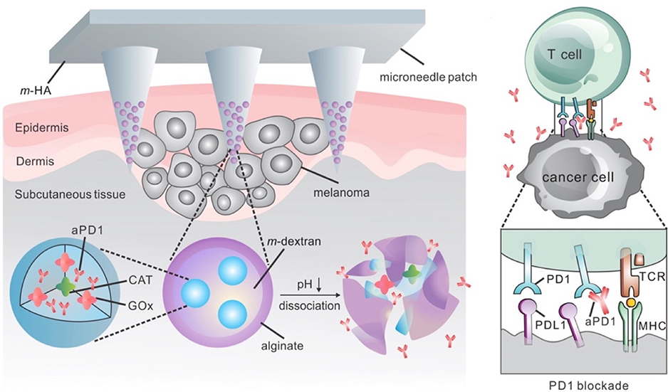 Figure 2: