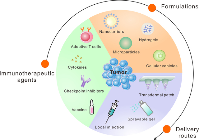 graphic file with name nihms-1583918-f0001.jpg