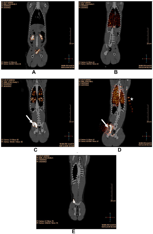 Figure 4: