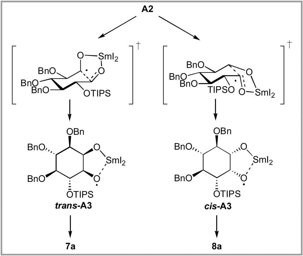 Scheme 4