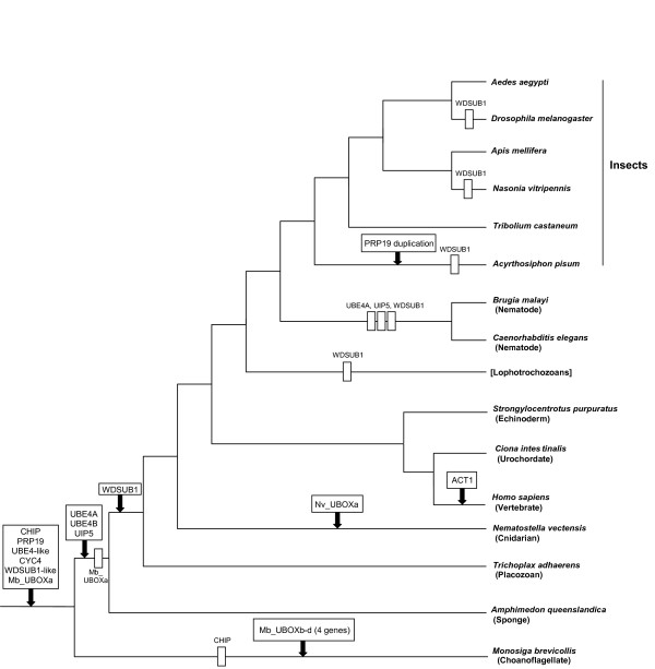 Figure 10