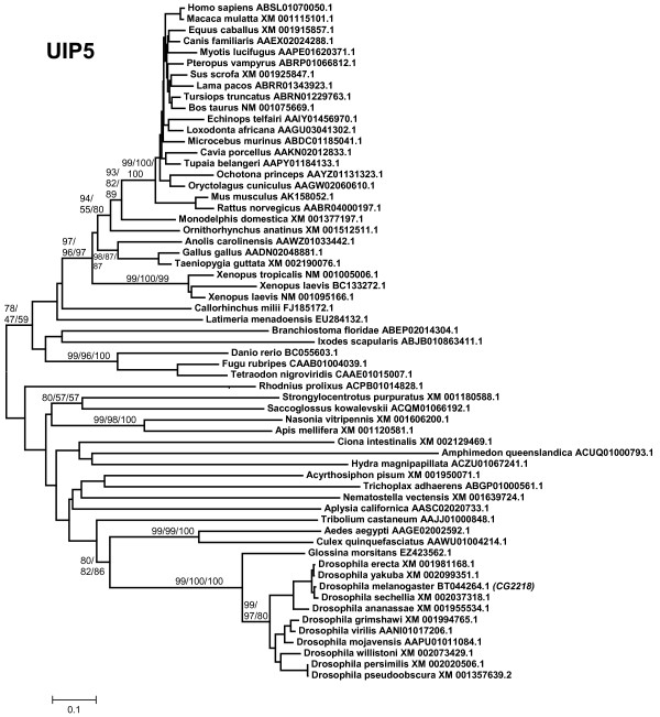 Figure 7