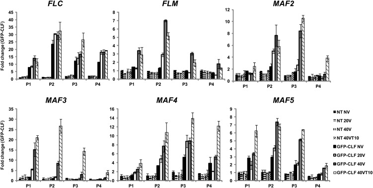 Figure 9.