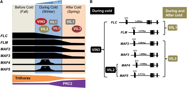 Figure 12.