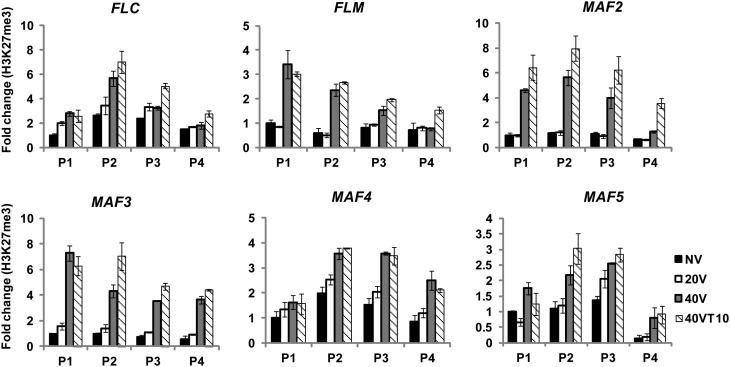 Figure 7.