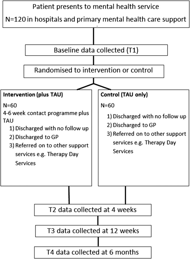 Figure 1