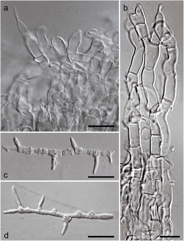 Fig. 8