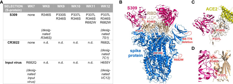 Figure 2