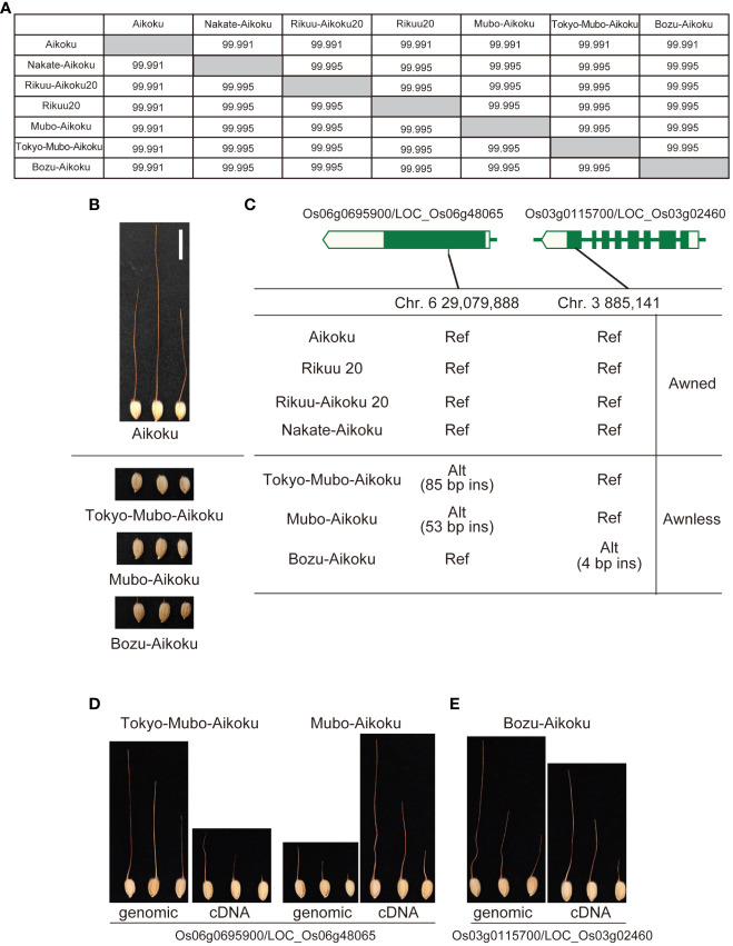 Figure 4